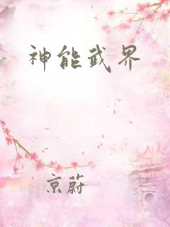 神能武界