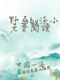 野桑by浅小说免费阅读