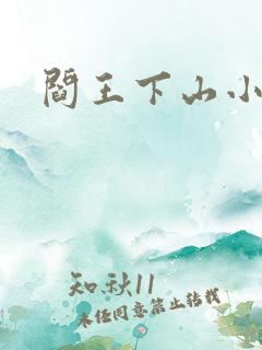 阎王下山小说