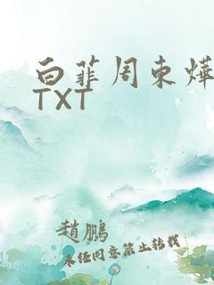 白菲周东烨小说TXT