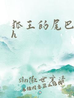 狐王的尾巴高ah