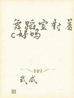 舞蹈室对着镜子c好吗