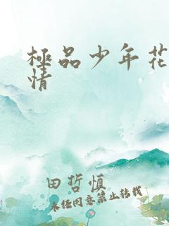 极品少年花都燃情