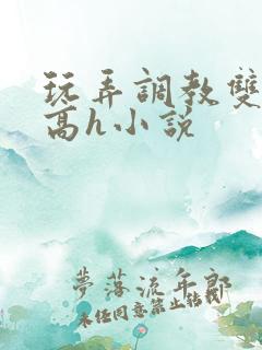 玩弄调教双胞胎高h小说