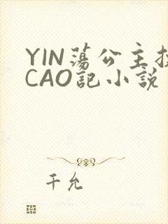 YIN荡公主挨CAO记小说