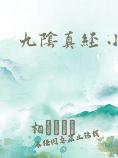 九阴真经 小说