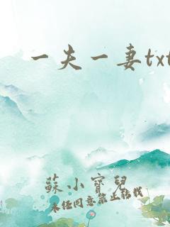 一夫一妻txt