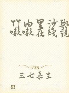 竹内里沙与黑人嗷嗷在线观看