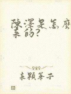 陈泽是怎么火起来的?