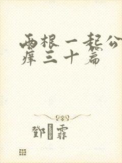 两根一起公憩止痒三十篇