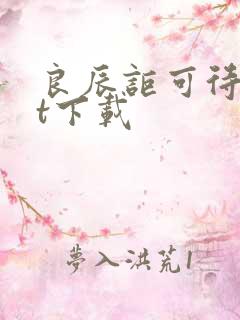 良辰讵可待txt下载