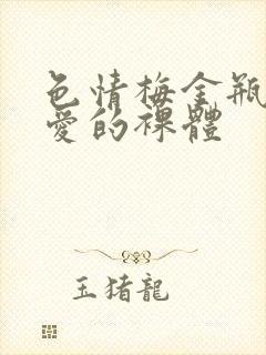 色情梅金瓶2之爱的裸体