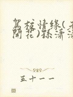 驾校情缘(老树开花)孙潇潇第一次趣笔阁