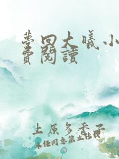 梦回大曦小说免费阅读