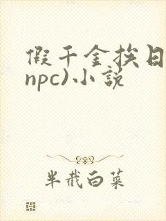 假千金挨日记(npc)小说