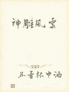 神雕风云