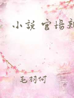 小说 官场新贵