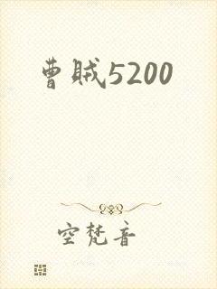 曹贼5200
