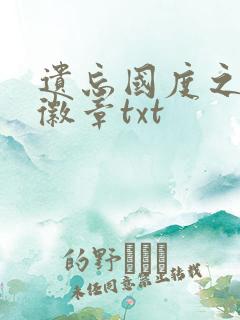 遗忘国度之神秘徽章txt