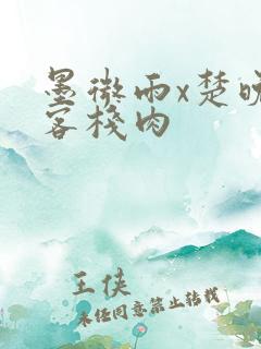 墨微雨x楚晚宁客栈肉