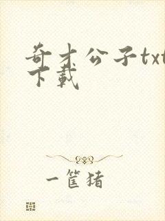 奇才公子txt下载