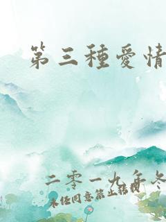 第三种爱情番外