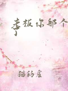 老板你那个太长了