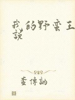 我的野蛮王妃小说