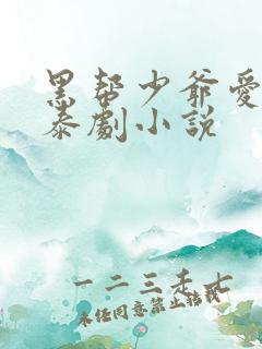 黑帮少爷爱上我泰剧小说