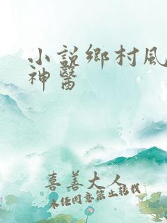 小说乡村风流小神医
