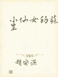 小仙女的苏撩先生