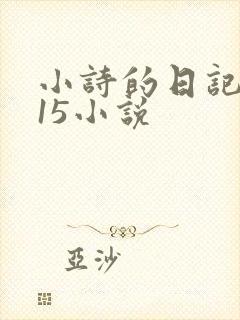 小诗的日记1一15小说