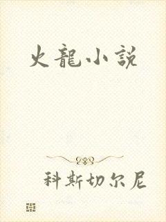 火龙小说