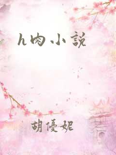 h肉小说
