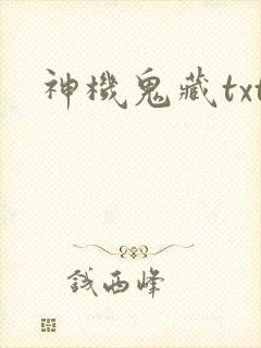 神机鬼藏txt