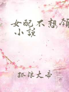 女配不想领便当 小说