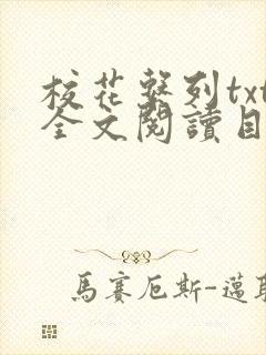 校花系列txt全文阅读目录