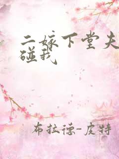 二嫁下堂夫君别碰我