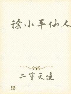 徐小平仙人指路