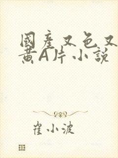 国产又色又爽又黄A片小说