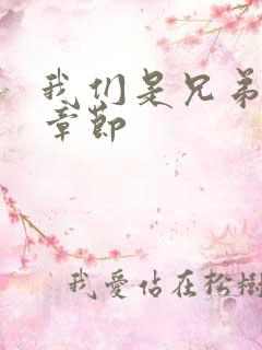 我们是兄弟最新章节