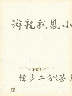 游龙戏凤小说