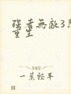 强者无敌3烈火重生