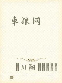 车狼网