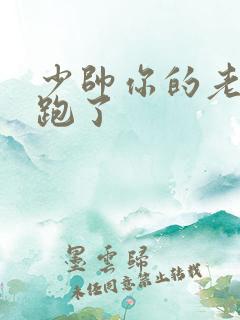 少帅你的老婆又跑了