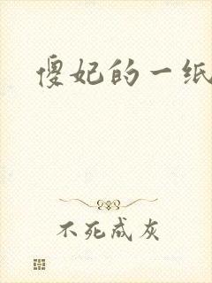 傻妃的一纸休书