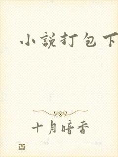 小说打包下载
