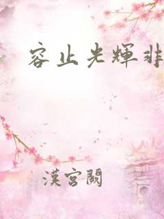 容止光辉非世人