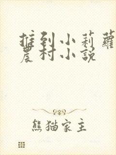 推到小莉萝稚嫩农村小说