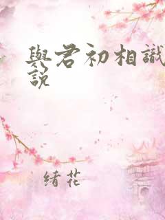 与君初相识 小说